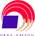 Logo www.sell-hoss.md