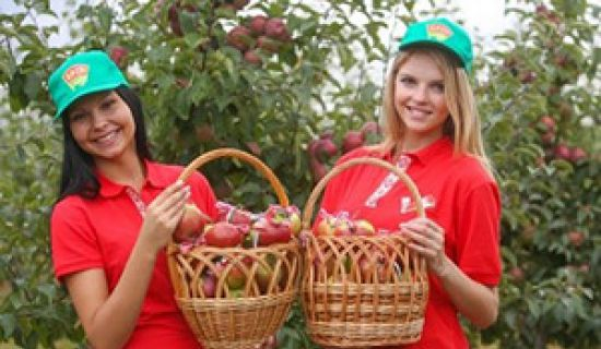 Studenți belaruși, la strîngerea recoltei în Moldova