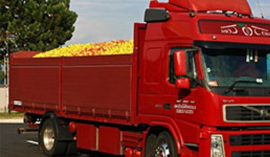 Молдова впервые вошла в десятку крупнейших мировых экспортёров яблока