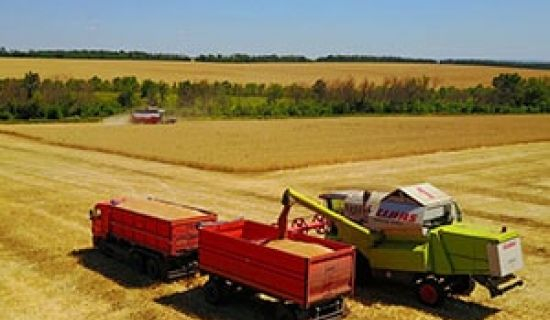 В Украине существенно пополнился парк автомобилей-зерновозов