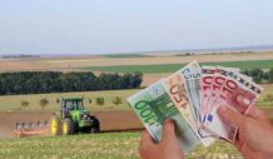 Сколько уже субсидий выплачено аграриям Молдовы? 