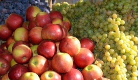 Rosselhoznadzor a cerut Moldovei intensificarea controlului calităţii fructelor