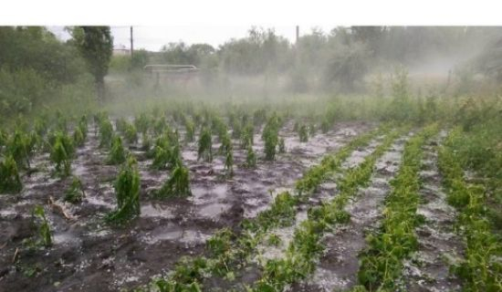 Ploile torențiale au afectat terenuri agricole şi drumuri