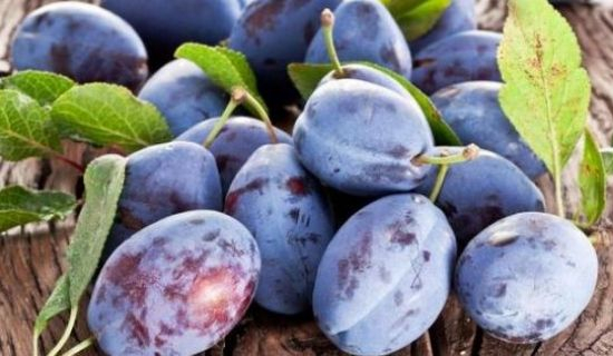 Rusia a interzis importul a 20 de tone de prune din Moldova