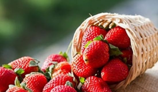 Creșterea exporturilor de căpșuni din Moldova în 2018