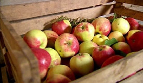 В июле 2018 года цены на яблоко в Молдове сократились