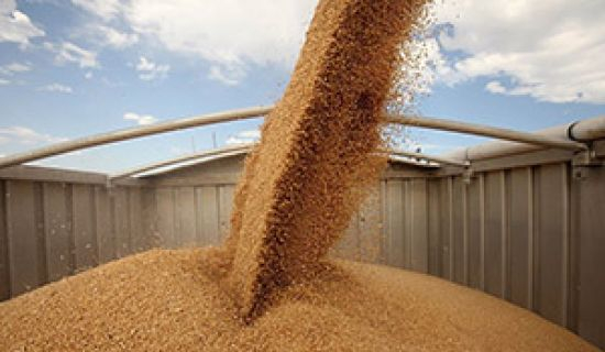 Тарифы на перевозку зерна по ж/д в Украине выше, чем в Европе