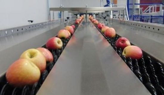 Молдавские аграрии планируют модернизировать линии сортировки фруктов