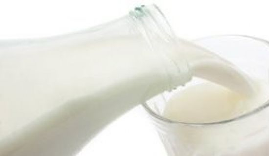 Правительство утвердило требования к молочной продукции