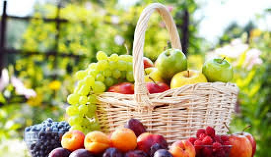 Un expert olandez va ajuta producătorii de fructe din Moldova