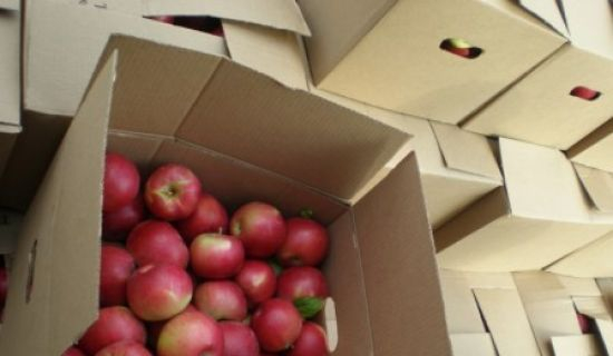 La Dubai, a sosit primul lot de mere din Moldova