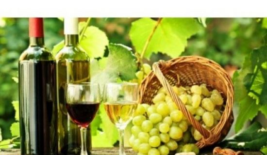 Молдова и Италия будут сотрудничать в винодельческой сфере