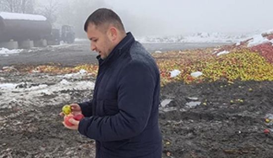 Министр сельского хозяйства прокомментировал фото с яблоками на земле